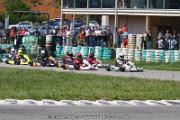 20110501_ales_agnus (2452)